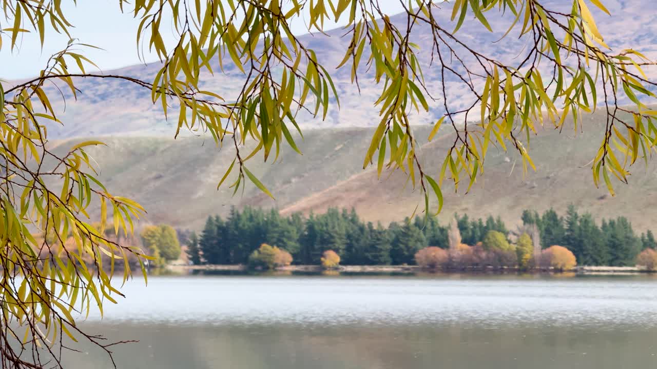 Gentle breeze rustles autumn leaves over Lake Dunstan, with serene reflections and distant hills in soft daylight