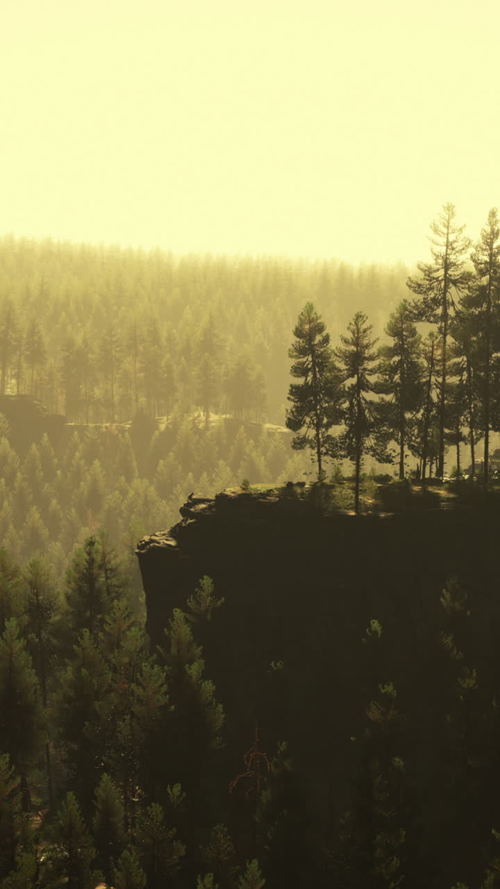 안개 숲 절벽 풍경