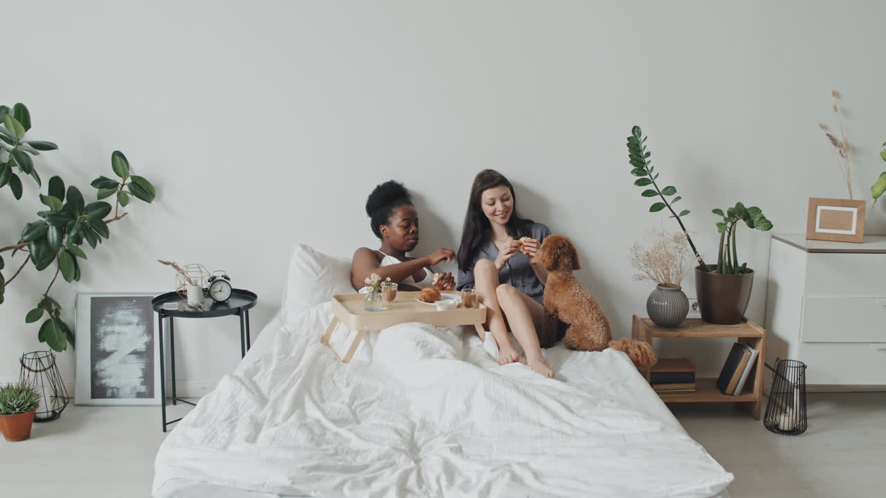 Queer Couple Eating Breakfast in Bed and Petting Dog