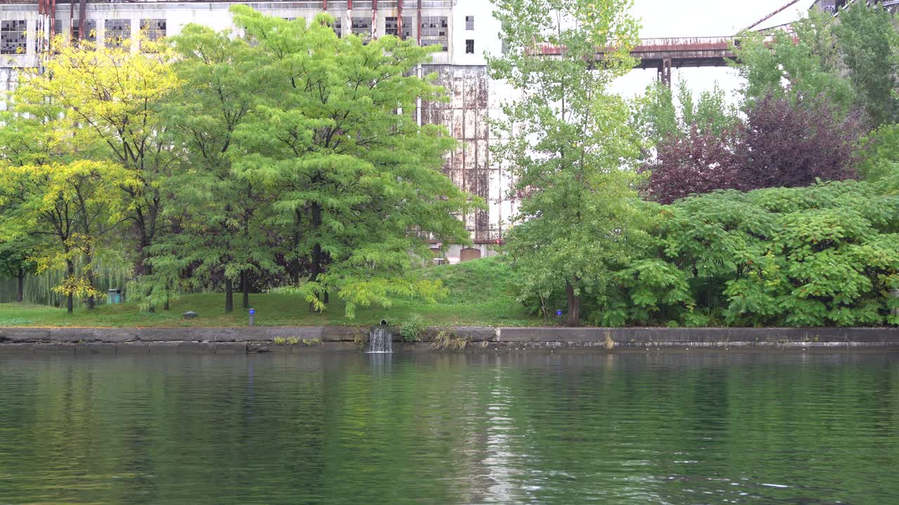 휴식을 취하기에 좋은 장소를 만드는 물과 나무가 있는 침묵의 비전