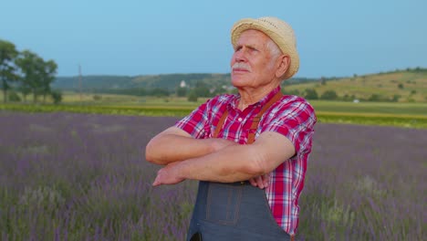 Senior-farmer-man-turning-face-to-camera-and-smiling-in-lavender-field-meadow-flower-herb-garden