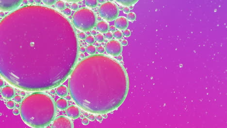 animación del texto de la nueva temporada sobre un fondo con patrones líquidos abstractos.