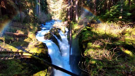 stunning waterfall in lush forest with rainbow