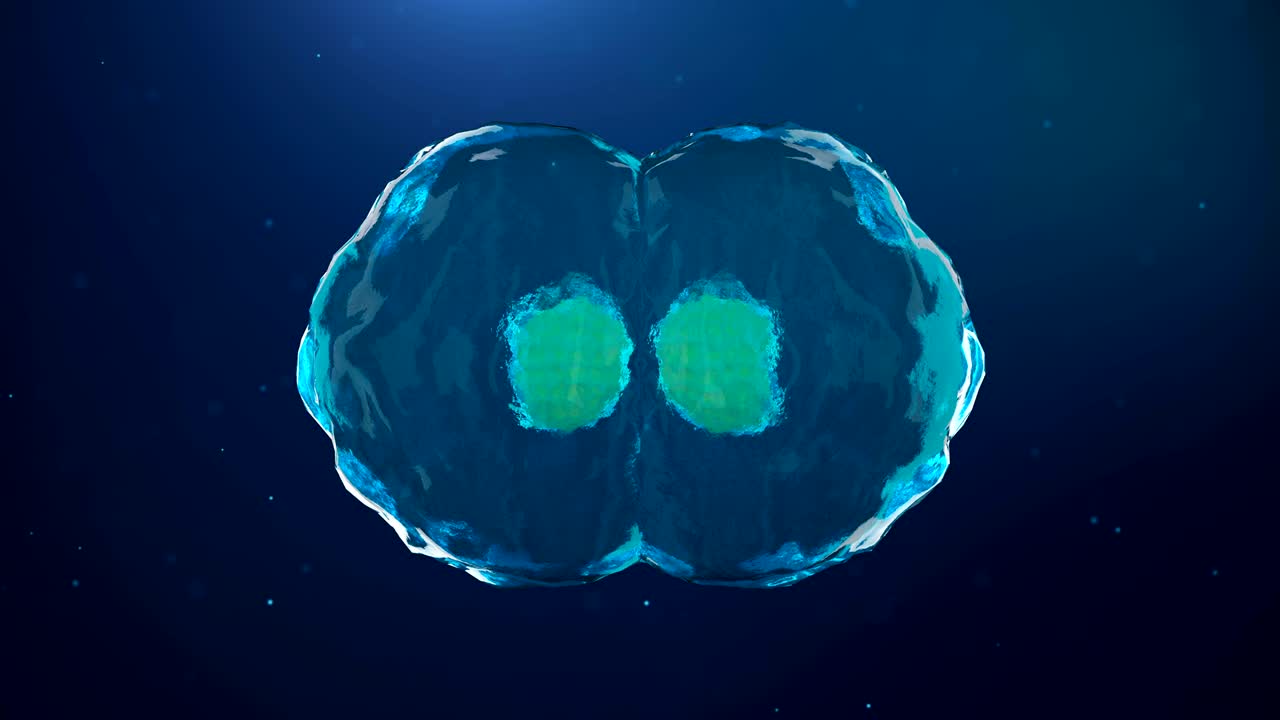 клетка делится, бактерии разделяются на абстрактном фоне. клетки разделяются под микроскопом. человеческие клетки на синем фоне. иллюстрация разделения человеческих клеток.