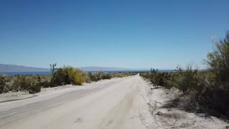 desert oasis in california area