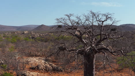 aerial-of-baobab-tree-in-dry-African-landscape-with-a-few-hills-and-bushes