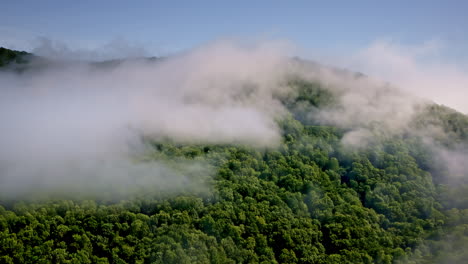 Gentle aerial motion moving into fog on the mountain slopes