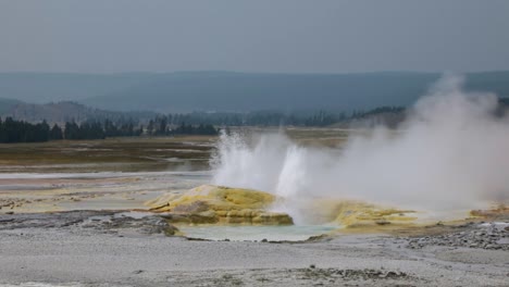 el agua y el vapor brotan del géiser clepsydra durante la erupción en la cuenca inferior del géiser en el parque nacional de yellowstone, wyoming - paisaje impresionante - plano general