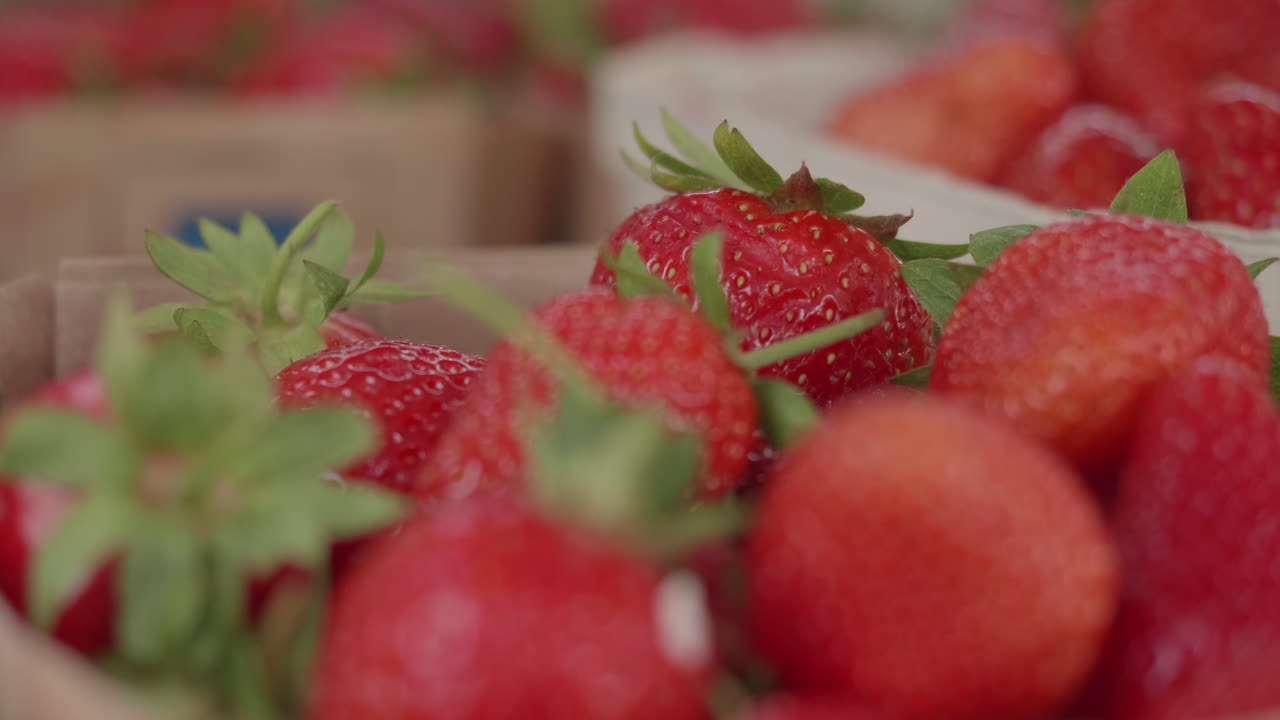 지역 농장 가게에서 작은 상자에 딸기를 끌어당기는 초점, 휴대용 클로즈업