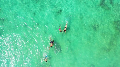 Eine-Familie,-Die-Einen-Sonnigen-Tag-Genießt-Und-Die-Wunderschönen-Korallenriffe-Vor-Der-Küste-Eines-Tropischen-Strandes-Erkundet