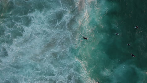 a surfer lying on a surfboard swimming to join his friends waiting for a big wave to ride in llandudno, cape town - overhead fixed shot