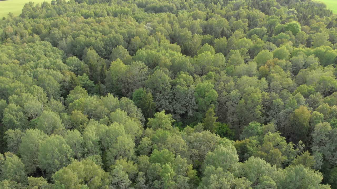 Fly over vast forestry and empty fields-3