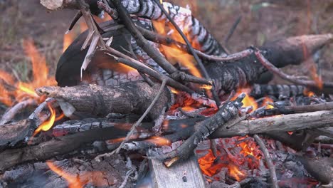 close shot of fire burning logs