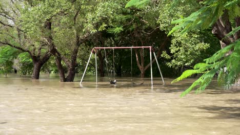 a swing under water at a playground in brisbane during the february 2022 floods