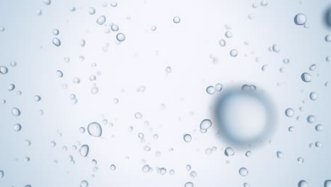 rising water bubbles - loop