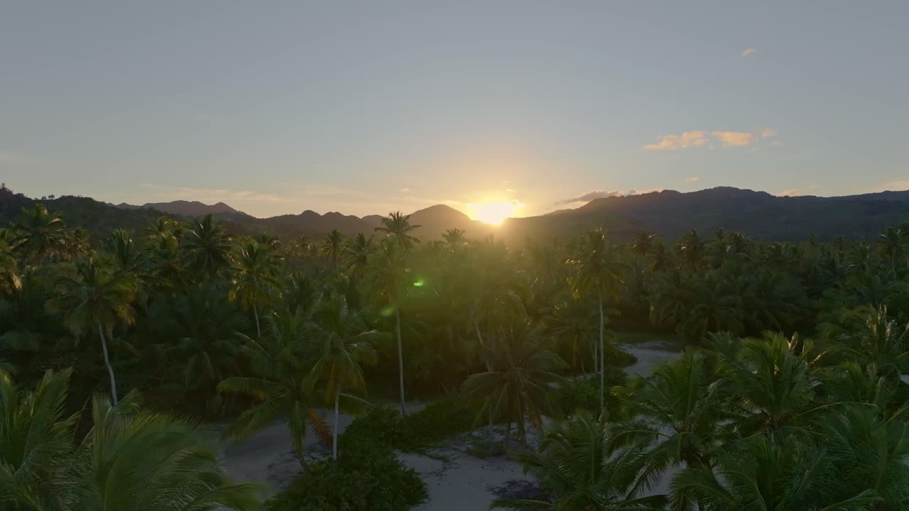 Aerial revealing shot of golden sunset behind Tropical mountains with palm trees. Sandy beach at coastline of Playa Rincon, Samana. Drone wide shot.