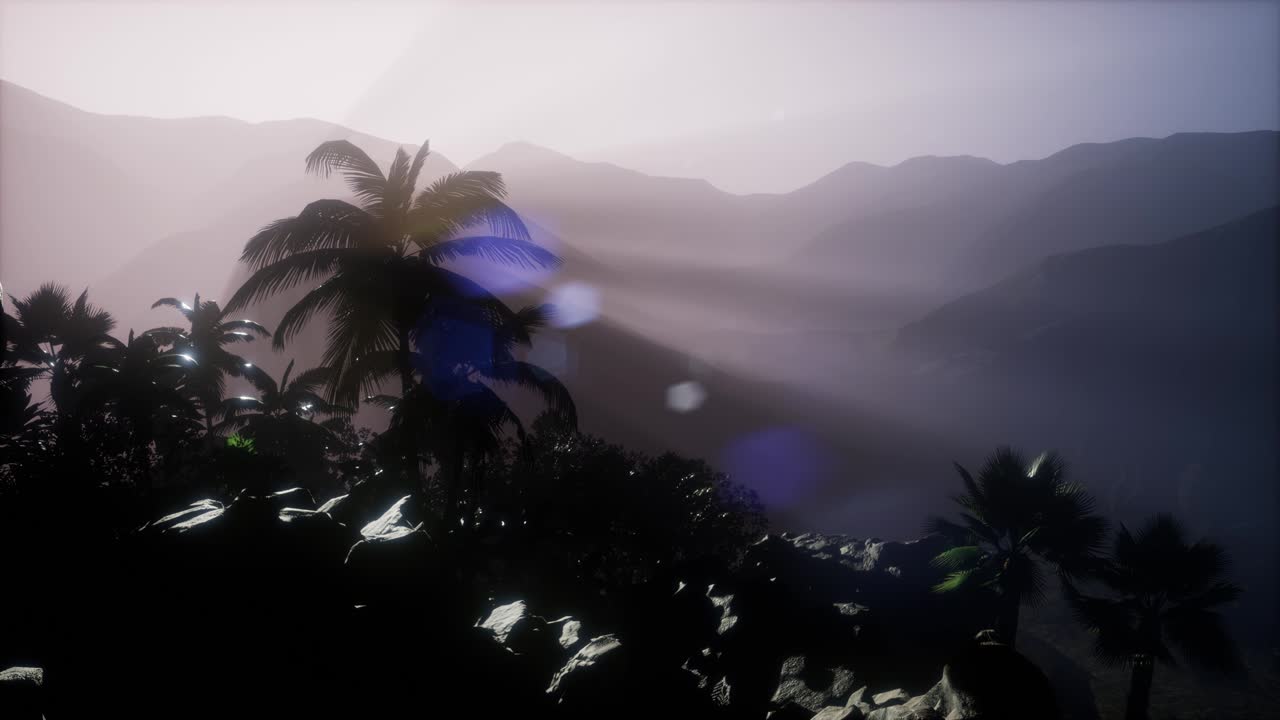 ⁇ 나무 를 가로지르는 해 가 지는 광선