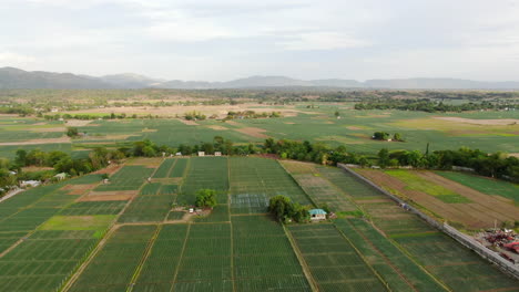 Vista-Aérea-De-Campo-Verde-Y-Montaña-Rocosa-Con-Cielo-Nublado-Durante-El-Día-En-Calidad-4k