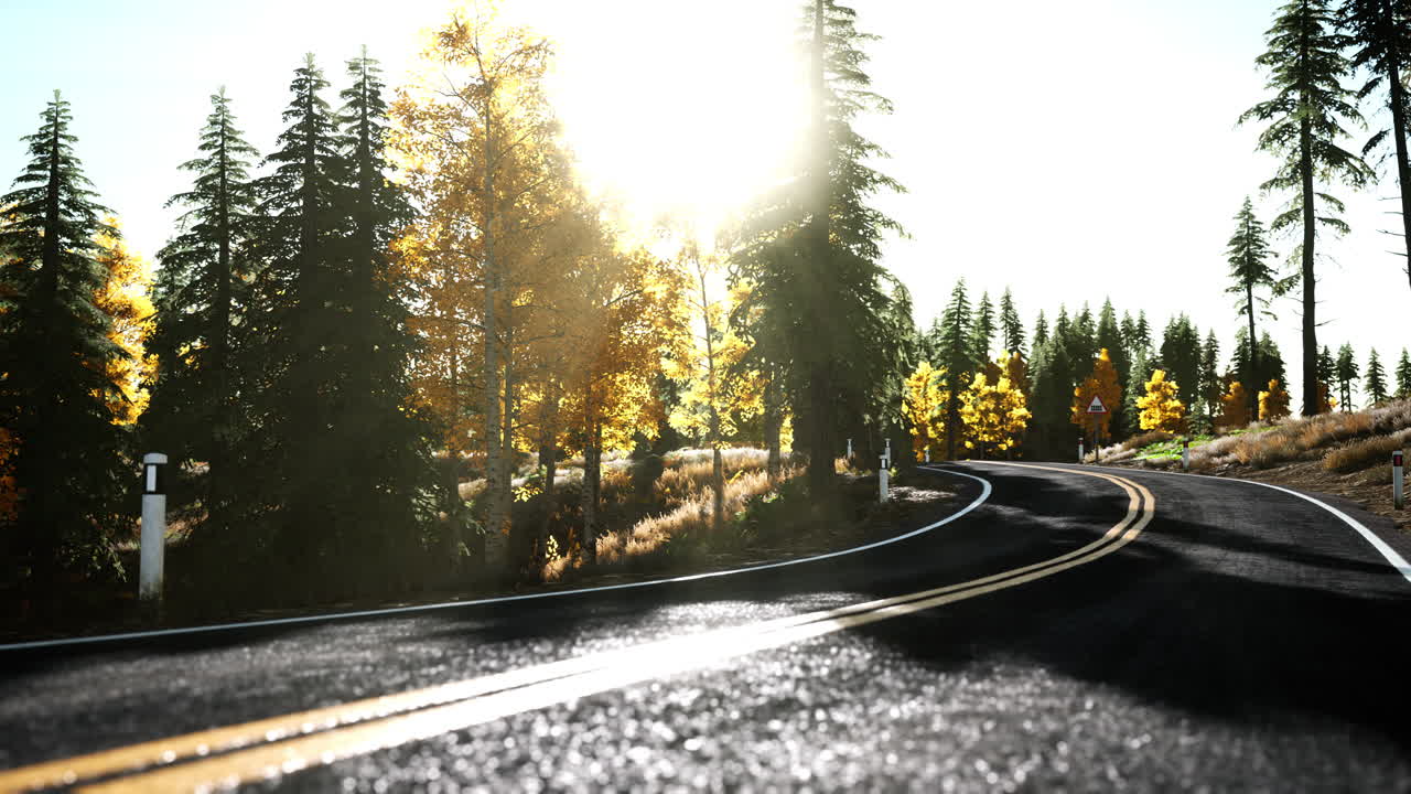 해가 지는  ⁇ 빛 아래의 숲길