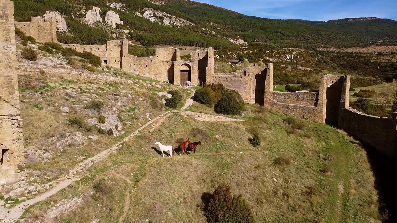 Castello romanico di Loarre con cavalli all'interno delle mura a Saragozza, Spagna. Ripresa aerea.