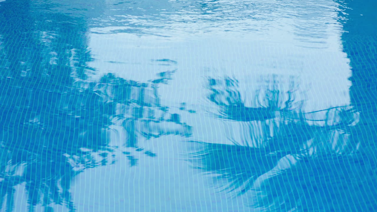 파라다이스 풀 13