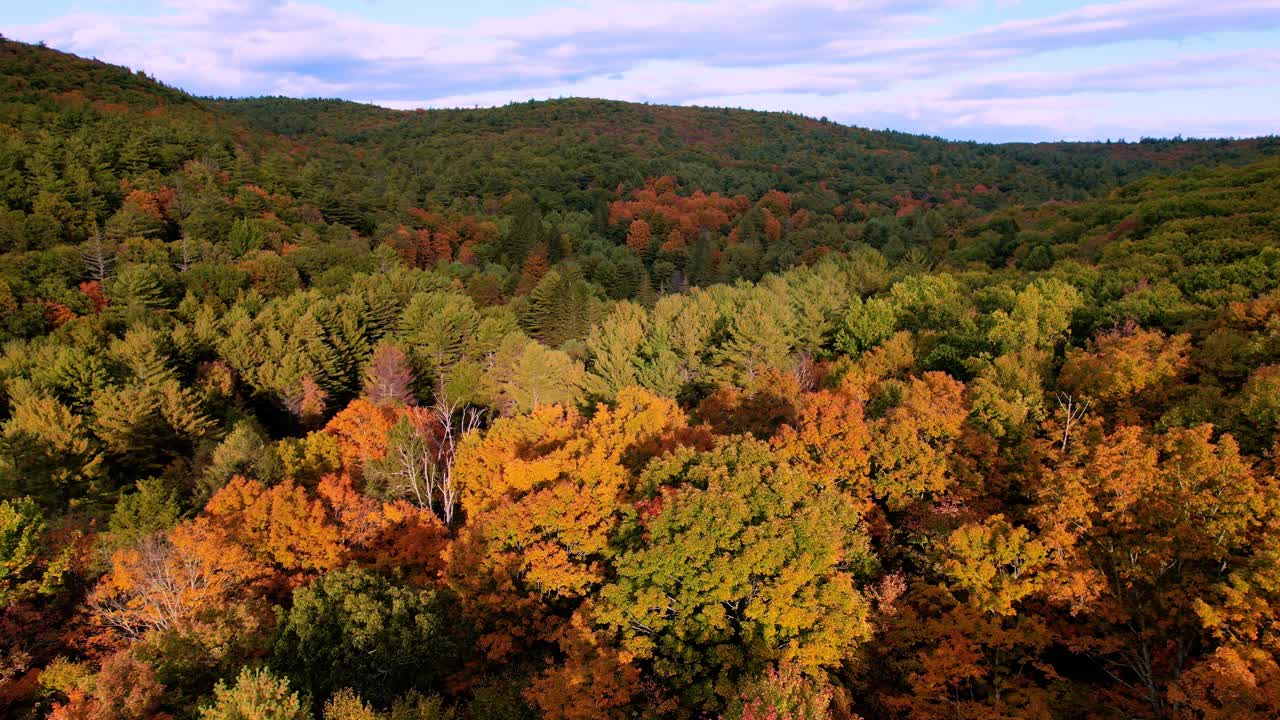 hermosas imágenes de video de drones aéreos de las montañas apalaches en los estados unidos durante el otoño