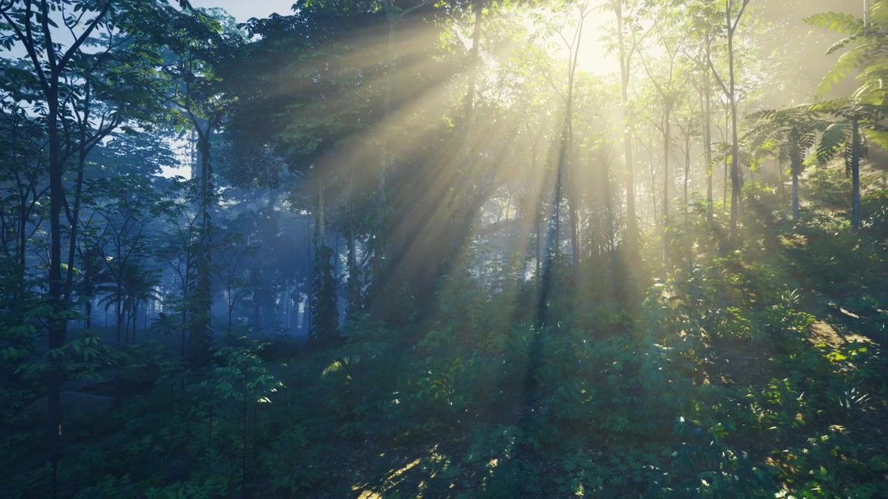 Lush dense forest shrouded in mist with golden rays and layered scenery