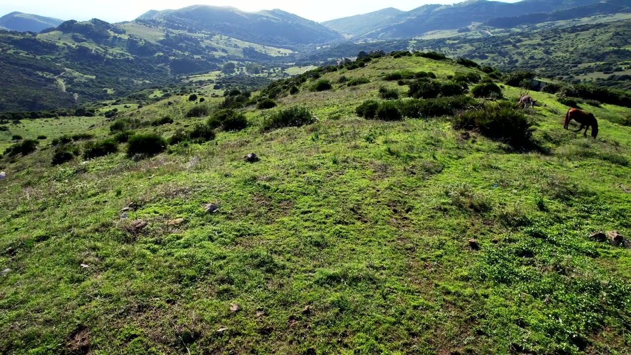 Colline verdi viste da un drone in una bella giornata di sole, con il Mar Mediterraneo sullo sfondo.
