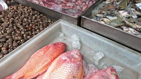 assorted seafood on ice at a market stall