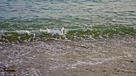 Olas-De-La-Playa-Del-Océano-Y-Espuma-En-Cámara-Lenta