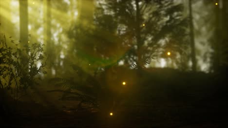 firefly-in-misty-forest-with-fog