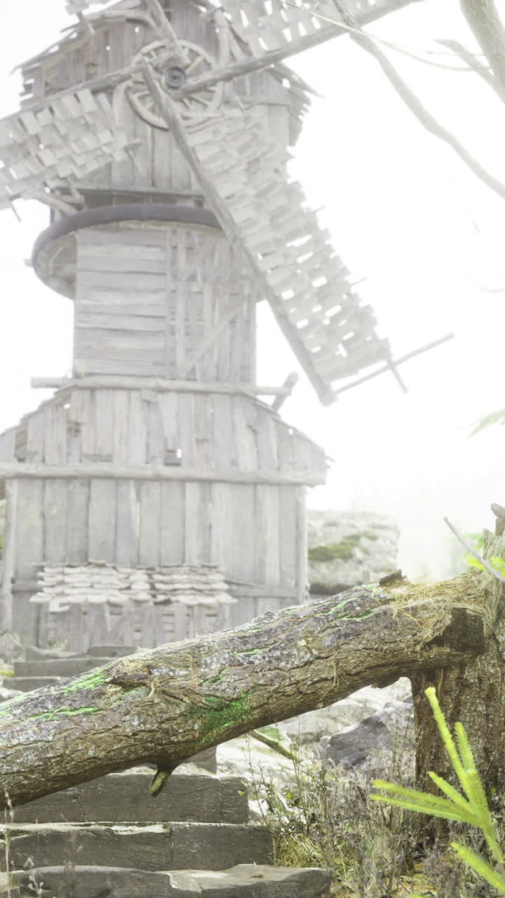 Windmill stands tall amidst dense fog in a forest