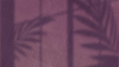 animación de sombras de hojas de palma balanceándose sobre la textura cambiante del lienzo púrpura