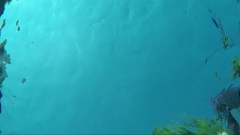 Swimming-in-the-pool-captured-from-the-bottom