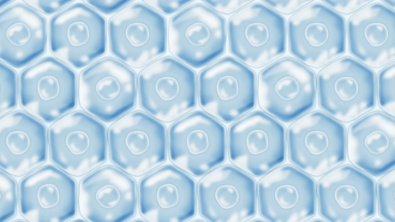 Human skin cells. Each cell with membrane. Cellular therapy. Disease treatment. Nucleus and vacuole. Regeneration. Loop animation.