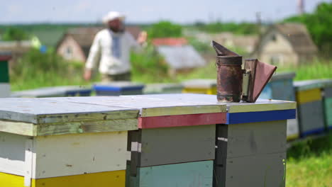 bee smoker on a hive. bees flying over the beehives. beekeeper looking after bees at apiary in the countryside. apiarist concept.