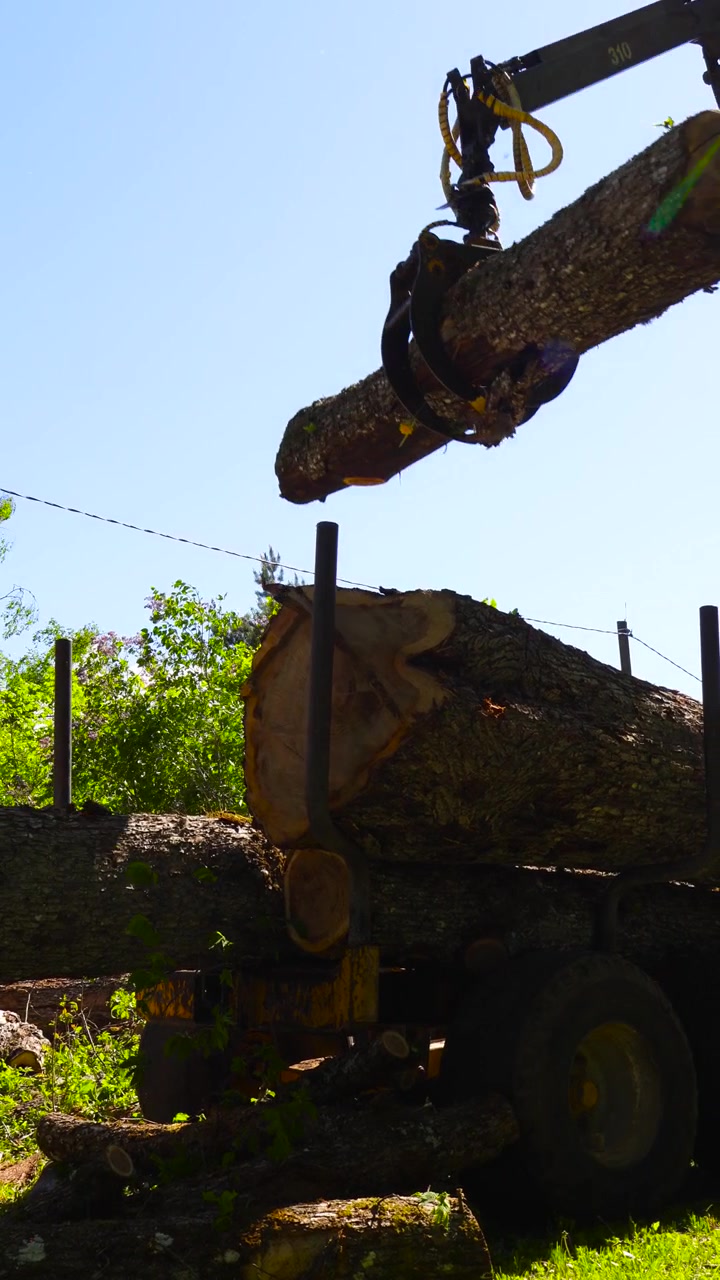 Industrial hydraulic crane arm with a grapple loader moving a heavy, freshly cut tree trunk, placing the wood onto a logging truck in a forest setting on a sunny day with a clear blue sky