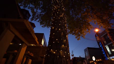 tree wrapped with warm blinking decorative fairy led lights during summer