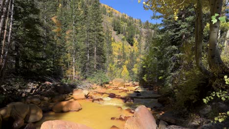 looking down a yellow acidic river caused by runoff from local gold and silver mines running through the forest during the day