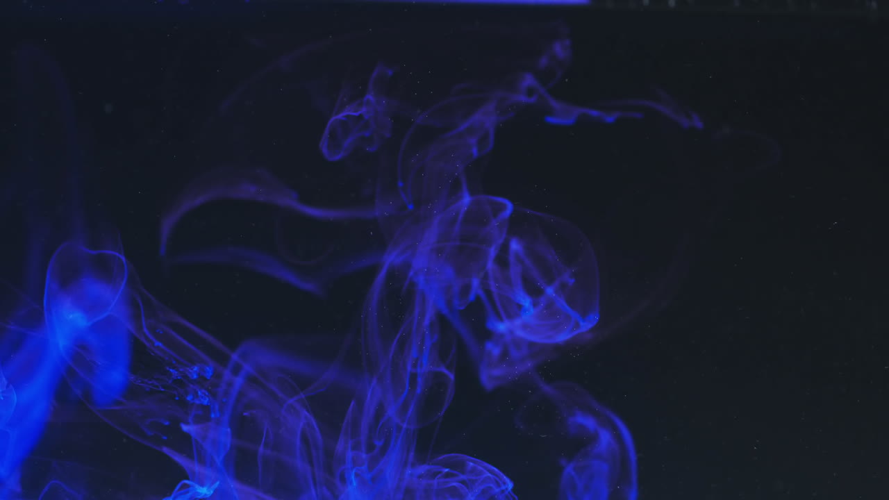 검은색 배경 에 물 에  ⁇ 이는 파란색 수채화 잉크 의 느린 동영상