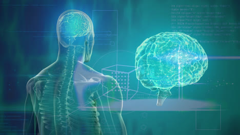 animación de un modelo de cerebro y cuerpo humano que gira sobre un fondo verde