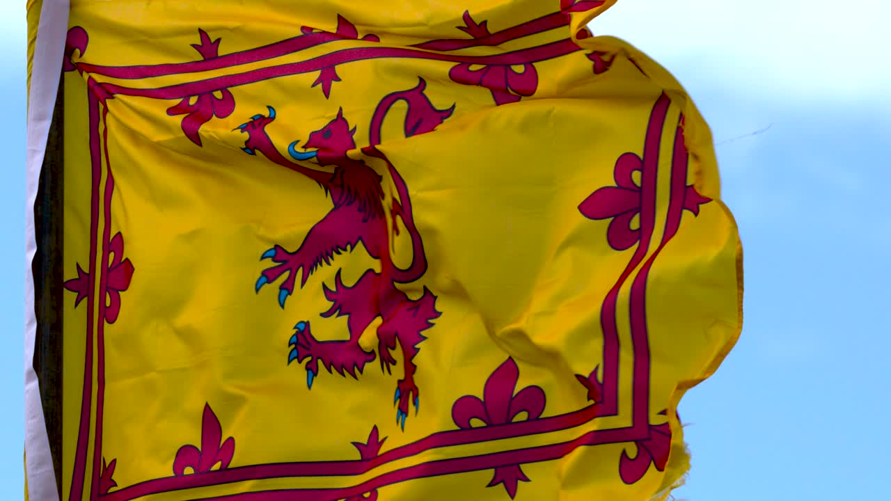 Yellow lion rampant flag rippling in daylight breeze, close-up view, vibrant natural lighting, static camera