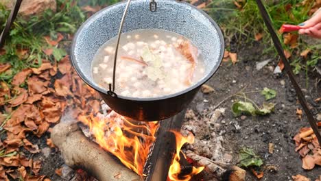 overview of pea soup boiling in cauldron over a campfire while camping in the countryside at daytime