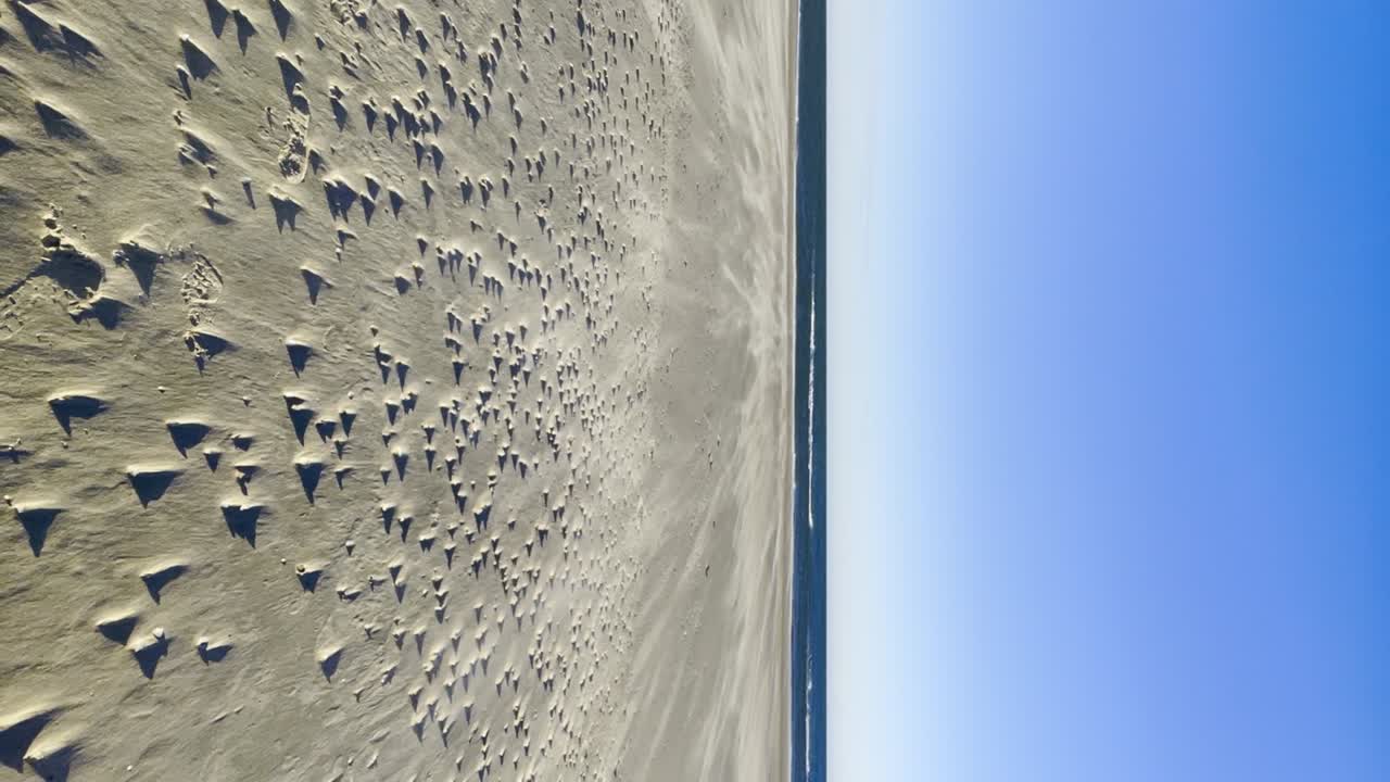 atmósfera celestial brisa arena en la playa soplada por el viento, tormenta de arena, video vertical, sueño cielo azul brillante, tiempo soleado