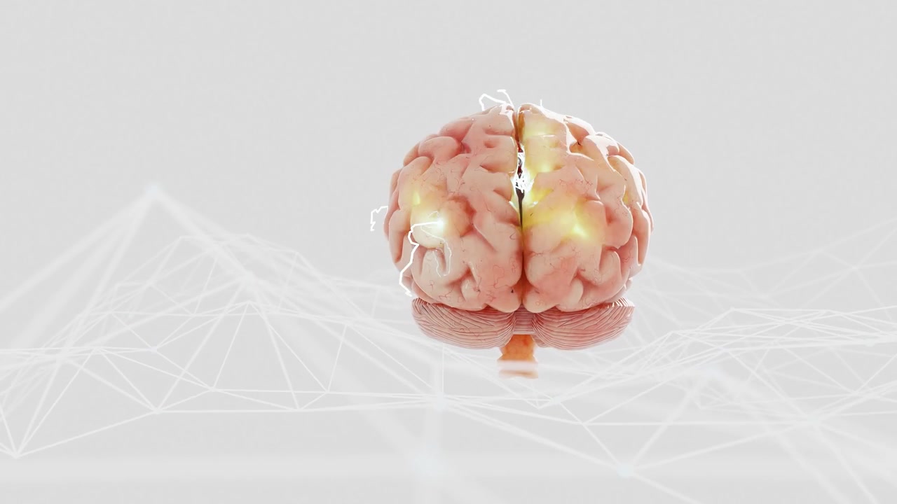 추상적인 와이어프레임 네트워크 위에 빛나는 신경 활동을 보이는 3D 인간 뇌. 흰색 배경의 인공지능 및 신경과학의 미래 지향적 컨셉.