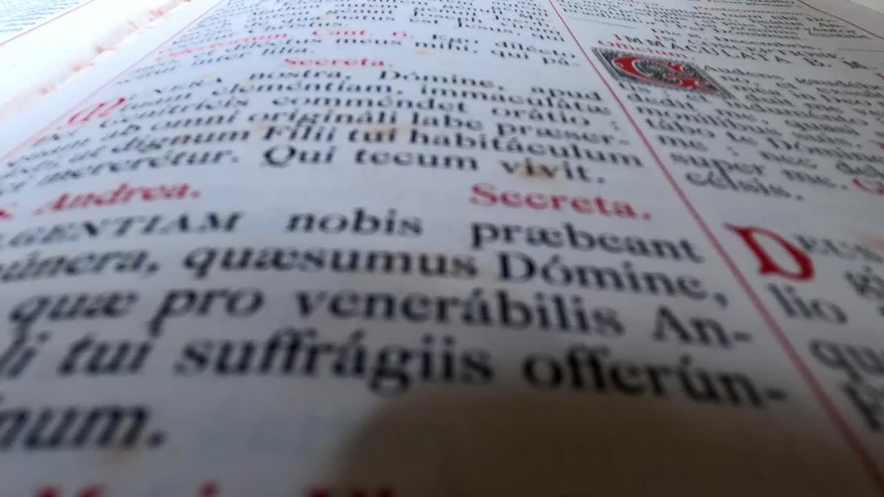 holy bible sacred book text prophecy God mystical close up words on open book