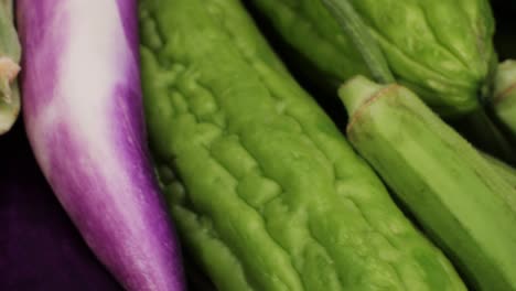 close-up of eggplant and bitter melon