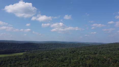 birds eye view over a rural forest and river water