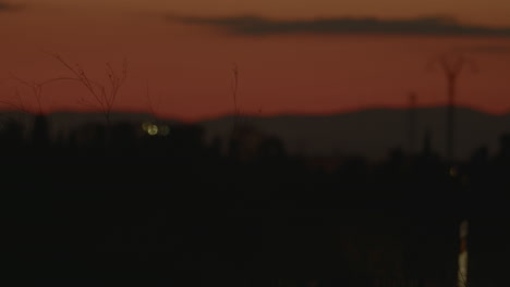 movimiento de coches en una carretera nocturna