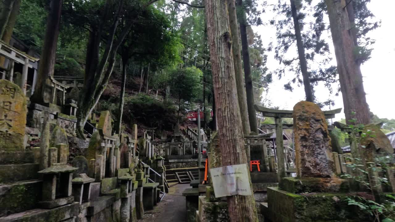 전통적인 일본 묘지를 평화롭게 산책합니다.